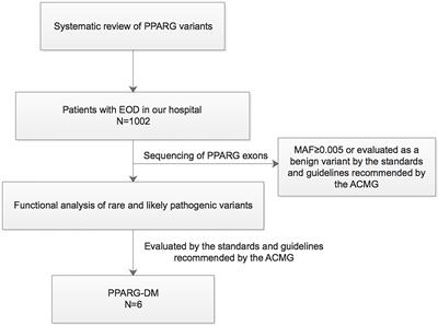 Genetics and Clinical Characteristics of PPARγ Variant-Induced Diabetes in a Chinese Han Population